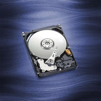 Жесткий диск HDD WD3200LPCX Blue™ 3200LPCX 320ГБ 2,5" 5400RPM