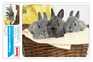 Мышь BURO Коврик для мыши BU-M40092 Мини рисунок/кролики 230x180x2мм
