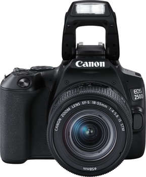 Фотокамера Canon EOS 250D черный 24.2Mpix EF-S 18-55mm f/1:4-5.6 IS STM 3" 4K Full HD SDXC Li-ion