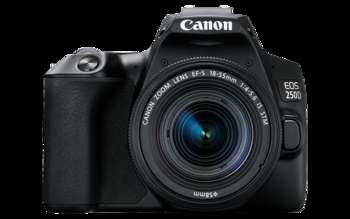 Фотокамера Canon EOS 250D 18-55IS STM Black 3454C002