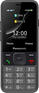 Сотовый телефон Panasonic Мобильный телефон TF200 серый моноблок 2.4" 240x320 0.3Mpix GSM900/1800 MP3